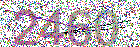 Graphic Verification Code